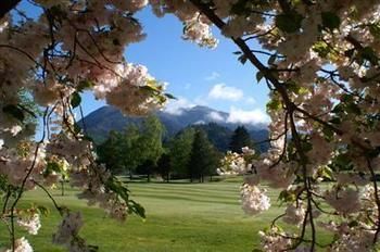Jack In The Green Garden Rooms Hanmer Springs Eksteriør bilde